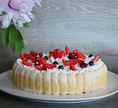 Charlotte aux Fruits artisanale Angoulême – dessert léger et élégant, entremet Charente